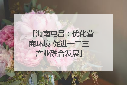 海南屯昌：优化营商环境 促进一二三产业融合发展