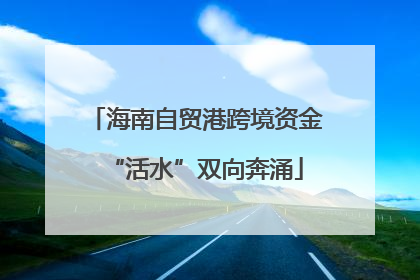 海南自贸港跨境资金“活水”双向奔涌