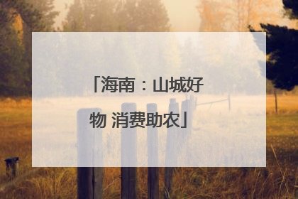 海南：山城好物 消费助农