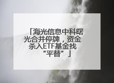海光信息中科曙光合并停牌，资金杀入ETF基金找“平替”