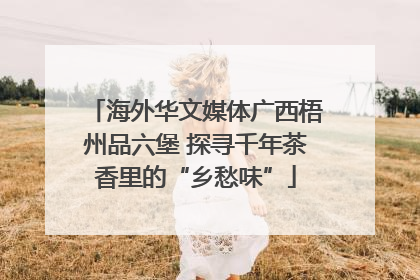 海外华文媒体广西梧州品六堡 探寻千年茶香里的“乡愁味”