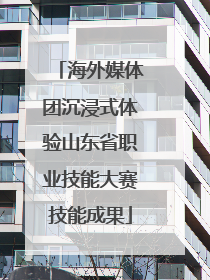 海外媒体团沉浸式体验山东省职业技能大赛技能成果