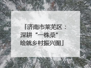 济南市莱芜区：深耕“一株桑” 绘就乡村振兴图