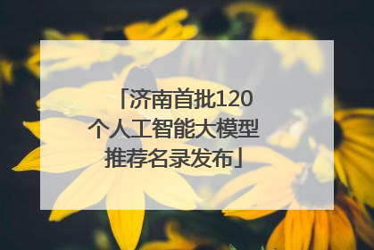 济南首批120个人工智能大模型推荐名录发布