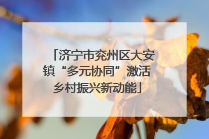 济宁市兖州区大安镇“多元协同”激活乡村振兴新动能