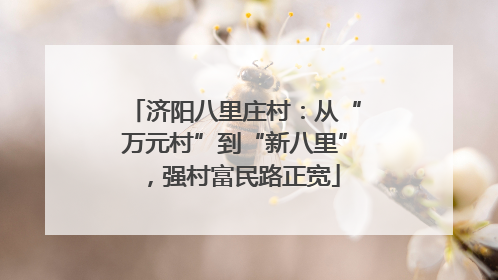 济阳八里庄村：从“万元村”到“新八里”，强村富民路正宽