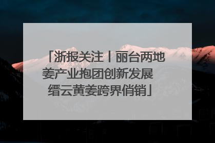 浙报关注丨丽台两地姜产业抱团创新发展 缙云黄姜跨界俏销