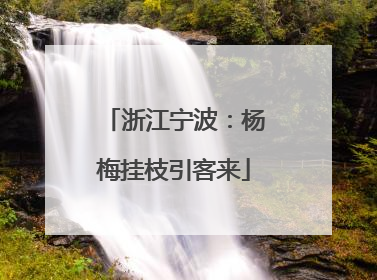 浙江宁波：杨梅挂枝引客来