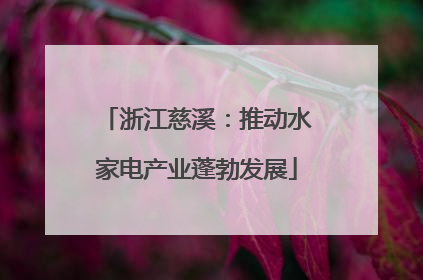 浙江慈溪：推动水家电产业蓬勃发展
