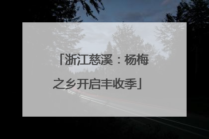 浙江慈溪：杨梅之乡开启丰收季