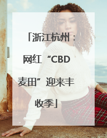 浙江杭州：网红“CBD麦田”迎来丰收季