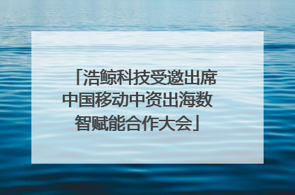 浩鲸科技受邀出席中国移动中资出海数智赋能合作大会