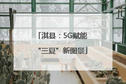 淇县：5G赋能“三夏”新图景