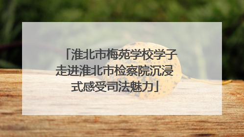 淮北市梅苑学校学子走进淮北市检察院沉浸式感受司法魅力