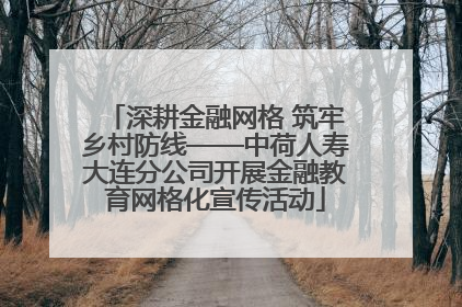 深耕金融网格 筑牢乡村防线——中荷人寿大连分公司开展金融教育网格化宣传活动
