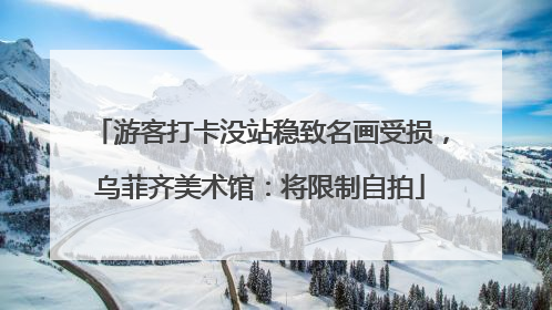 游客打卡没站稳致名画受损，乌菲齐美术馆：将限制自拍