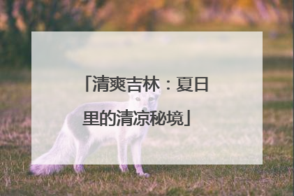 清爽吉林：夏日里的清凉秘境