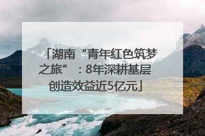 湖南“青年红色筑梦之旅”：8年深耕基层创造效益近5亿元