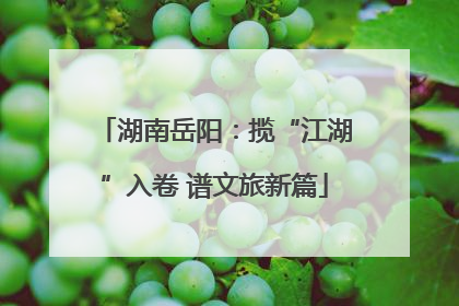 湖南岳阳：揽“江湖”入卷 谱文旅新篇