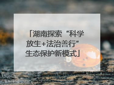 湖南探索“科学放生+法治善行”生态保护新模式