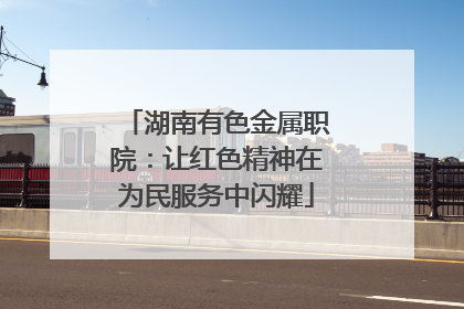 湖南有色金属职院：让红色精神在为民服务中闪耀