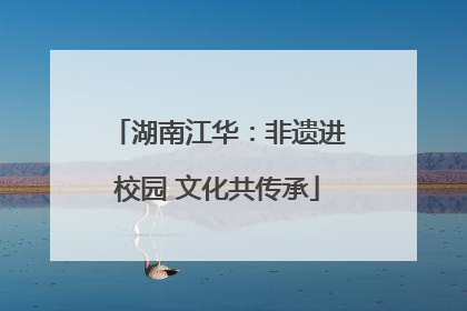 湖南江华：非遗进校园 文化共传承