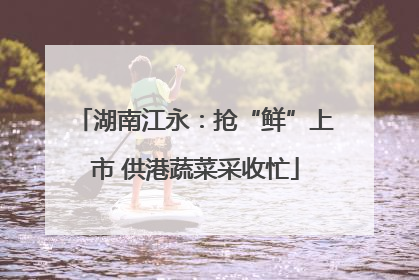 湖南江永：抢“鲜”上市 供港蔬菜采收忙
