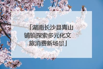 湖南长沙县青山铺镇探索多元化文旅消费新场景