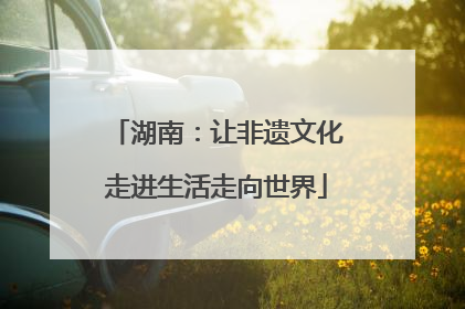 湖南：让非遗文化走进生活走向世界