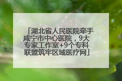 湖北省人民医院牵手咸宁市中心医院，9大专家工作室+9个专科联盟筑牢区域医疗网