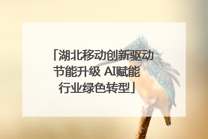 湖北移动创新驱动节能升级 AI赋能行业绿色转型
