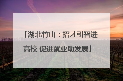 湖北竹山：招才引智进高校 促进就业助发展