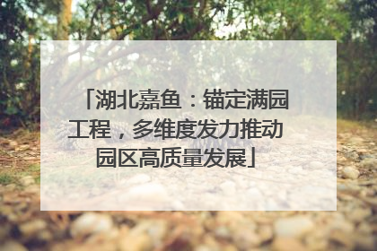 湖北嘉鱼：锚定满园工程，多维度发力推动园区高质量发展