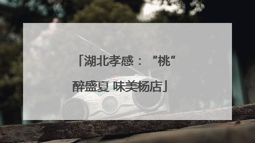 湖北孝感：“桃”醉盛夏 味美杨店