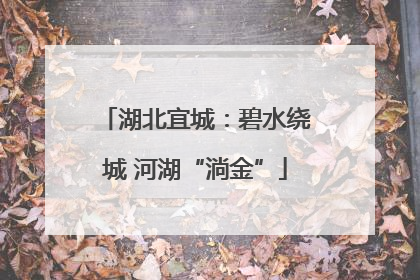 湖北宜城：碧水绕城 河湖“淌金”