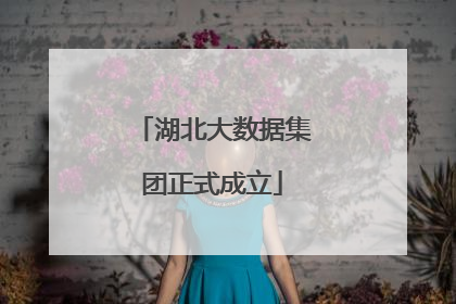 湖北大数据集团正式成立