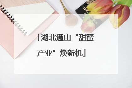 湖北通山“甜蜜产业”焕新机