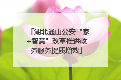 湖北通山公安“家+智慧”改革推进政务服务提质增效