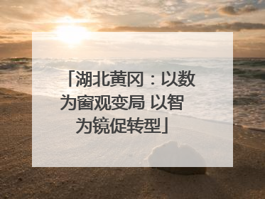 湖北黄冈：以数为窗观变局 以智为镜促转型