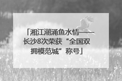 湘江潮涌鱼水情——长沙8次荣获“全国双拥模范城”称号