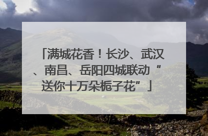 满城花香！长沙、武汉、南昌、岳阳四城联动“送你十万朵栀子花”