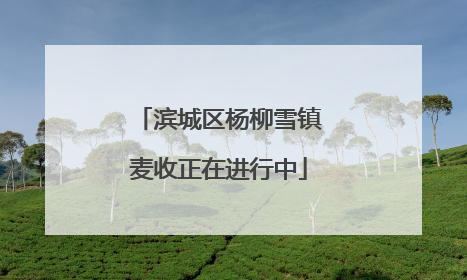 滨城区杨柳雪镇麦收正在进行中
