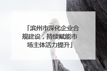 滨州市深化企业合规建设，持续赋能市场主体活力提升