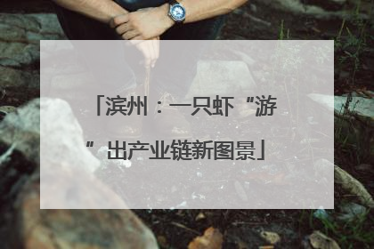 滨州：一只虾“游”出产业链新图景