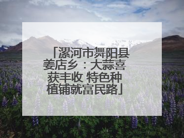 漯河市舞阳县姜店乡：大蒜喜获丰收 特色种植铺就富民路