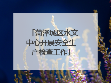 菏泽城区水文中心开展安全生产检查工作