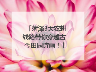 菏泽3大农耕线路带你穿越古今田园诗画！