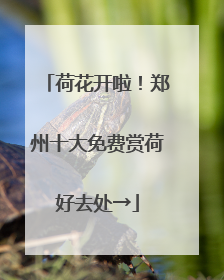 荷花开啦！郑州十大免费赏荷好去处→