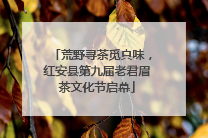荒野寻茶觅真味，红安县第九届老君眉茶文化节启幕