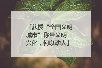 获授“全国文明城市”称号文明 兴化，何以动人